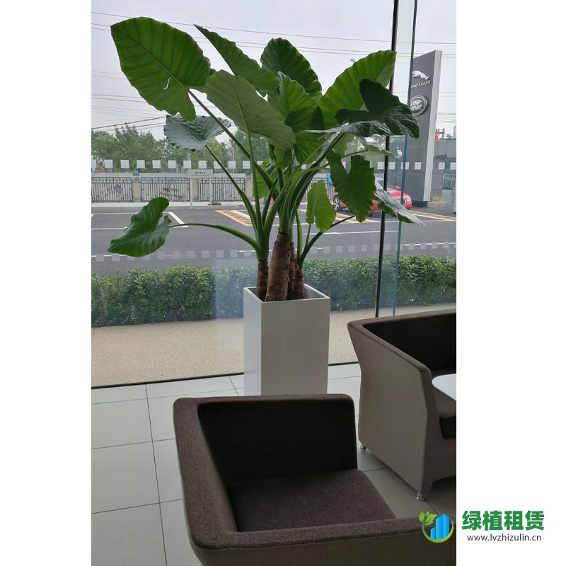未标题-1.jpg
