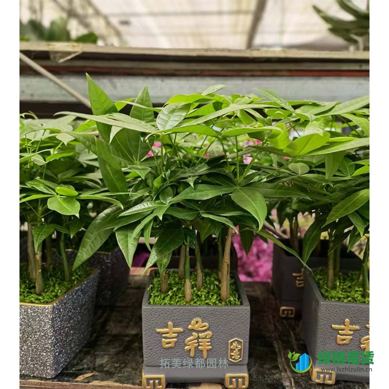 未标题-32.jpg